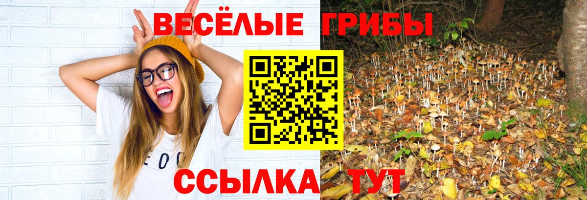Псилоцибиновые грибы GOLDEN TEACHER  Вход с VPN  Галлюциногенные грибы прущие грибы  Советская Гавань 